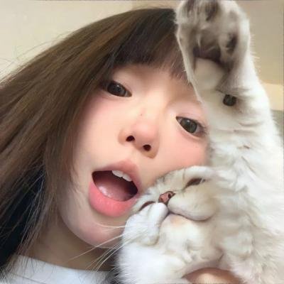 森林随处可见